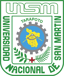 logo unsm